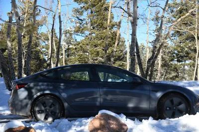 DSC_5004 (Large).JPG